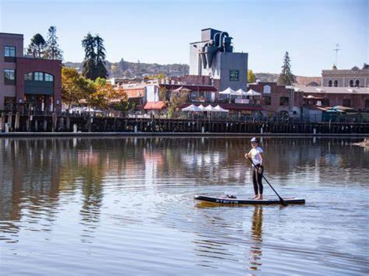 Tree Removal in Petaluma CA