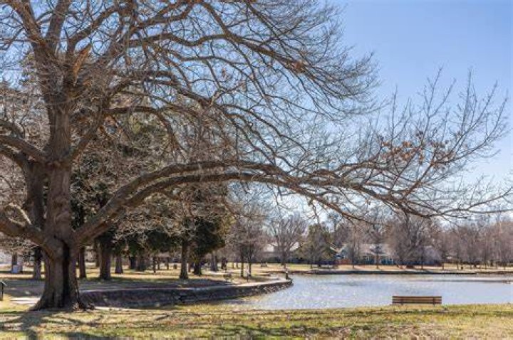 Tree Removal in Pittsburg KS