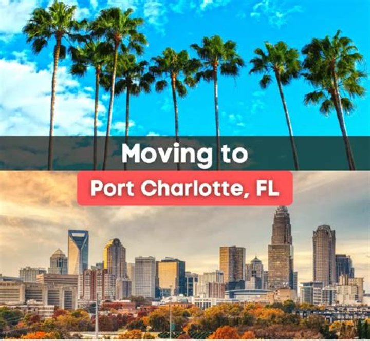 Tree Removal in Port Charlotte FL