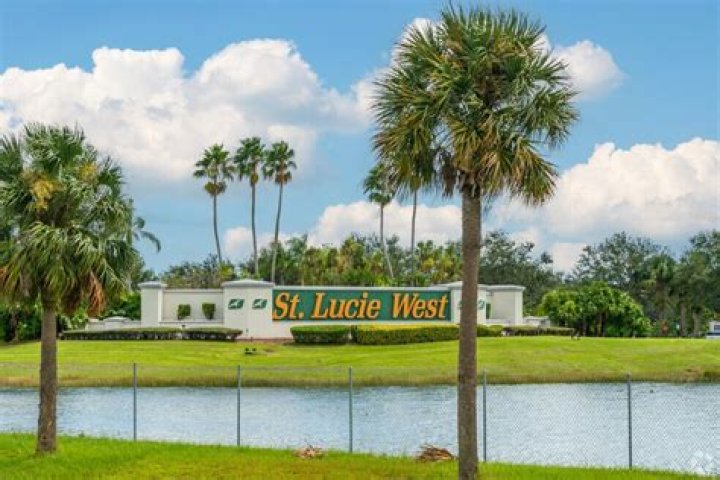Tree Removal in Port Saint Lucie FL