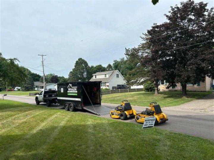 Tree Removal in Portage MI