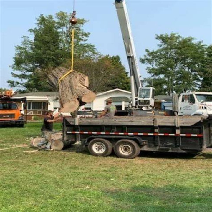 Tree Removal in Ruby MI