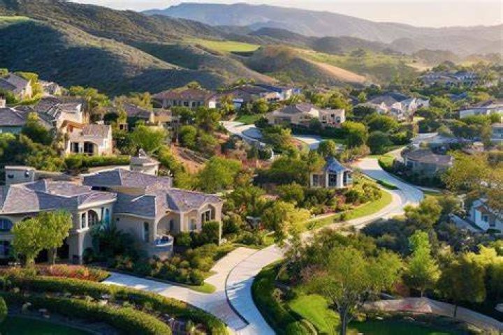 Tree Removal in San Marcos CA