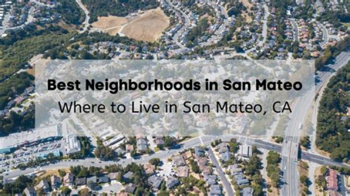 Tree Removal in San Mateo CA