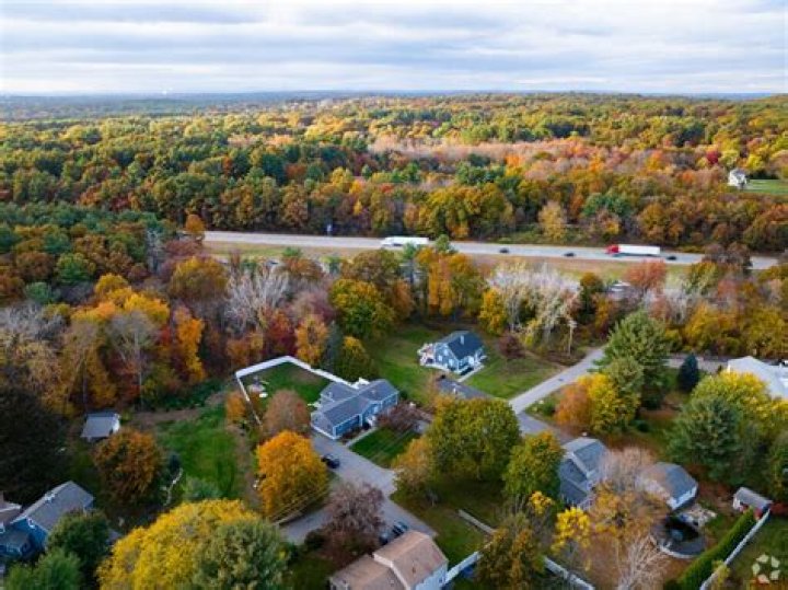Tree Removal in South Chelmsford MA