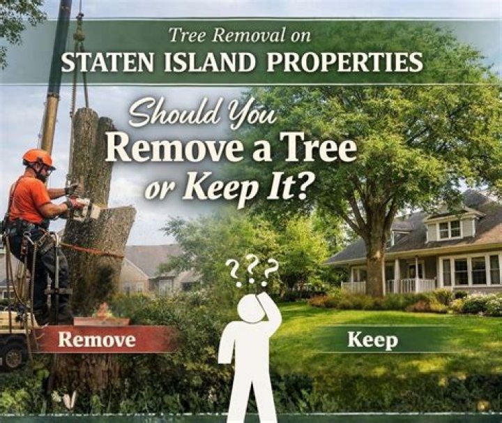Tree Removal in Staten Island NY