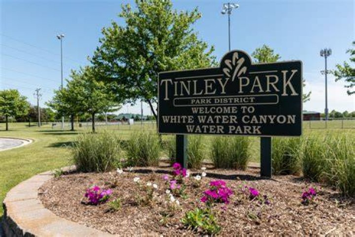 Tree Removal in Tinley Park IL