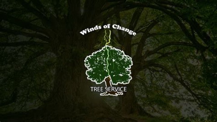 Tree Removal in Twining MI