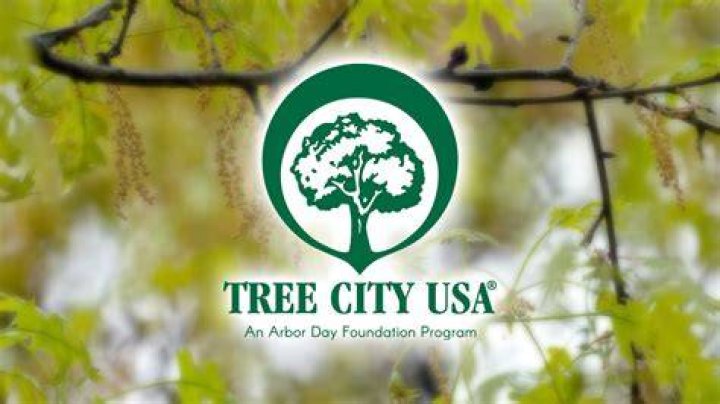 Tree Removal in Union City IN