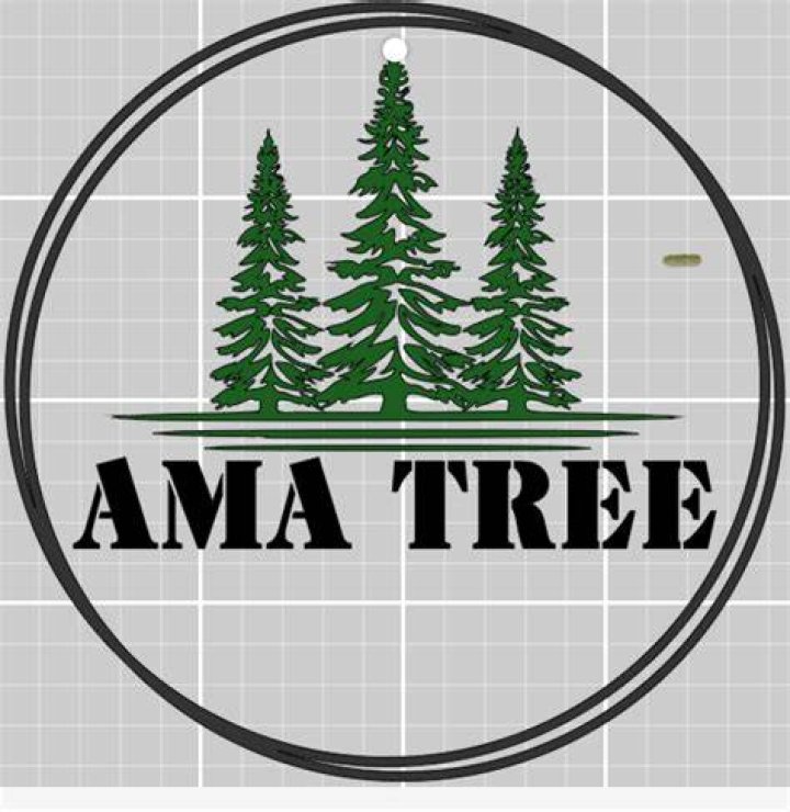 Tree Removal in Vallejo CA