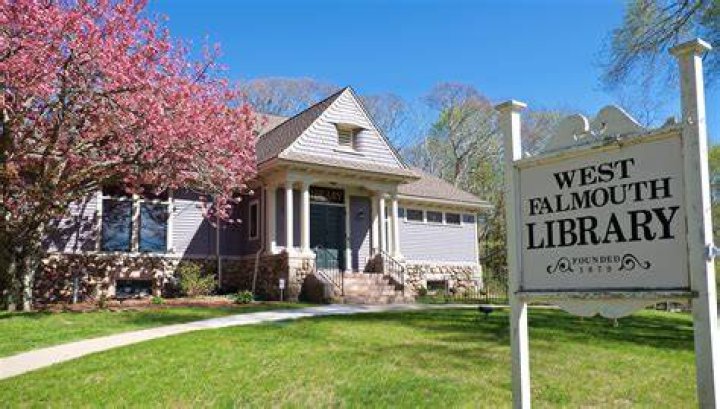 Tree Removal in West Falmouth MA