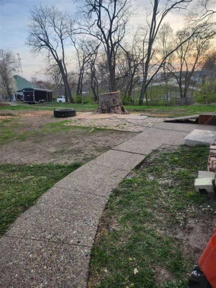 Tree Removal in Williamsburg IA