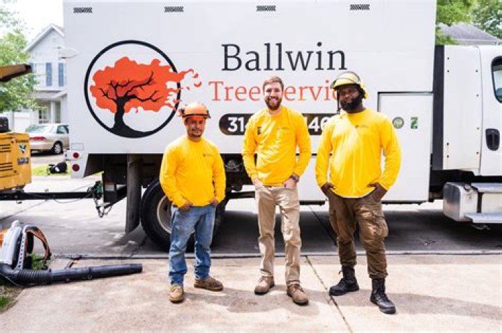 Tree Removal Service Webster Groves MO