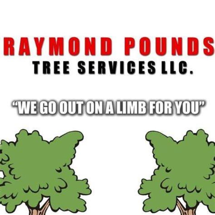 Tree Services in Raymond, Ga