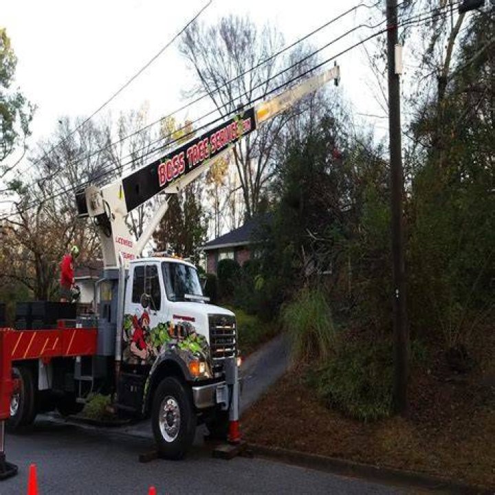 Tree Services in Sharpsburg, Ga