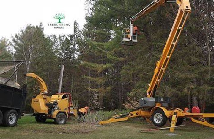 TreeCareHQ Roanoke - Tree Service Roanoke VA