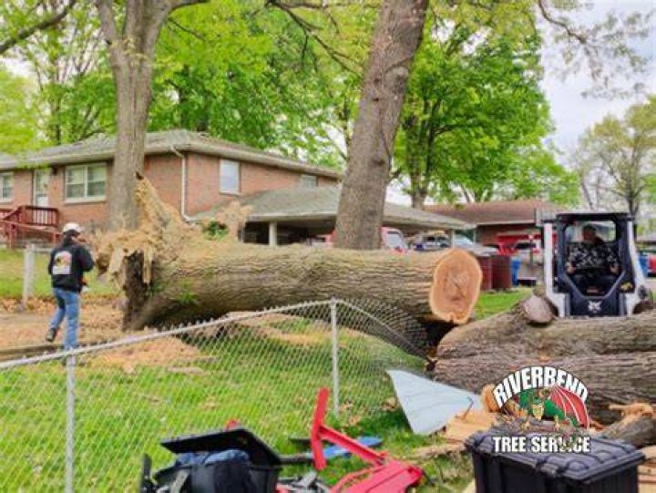 TreeCareHQ - Tree Service Near Me