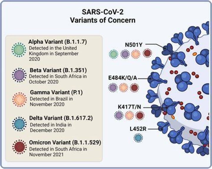 UKHSA: Investigation of novel SARS-CoV-2 variants of concern (England) – Technical briefing 25, 15 October 2021