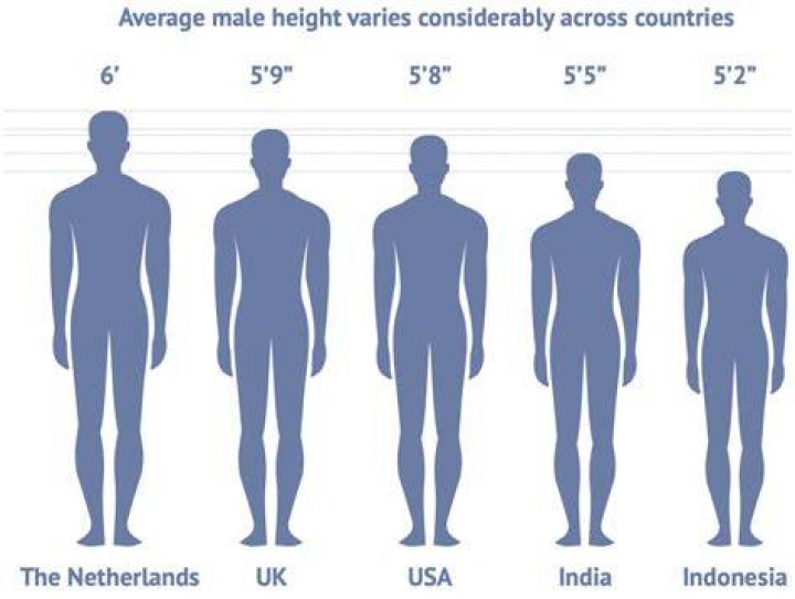 Ultimate Guide To Niles Neumann's Height: Measurements Revealed