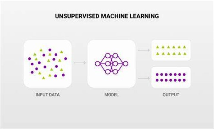 Uncover Hidden Insights And Surprising Revelations