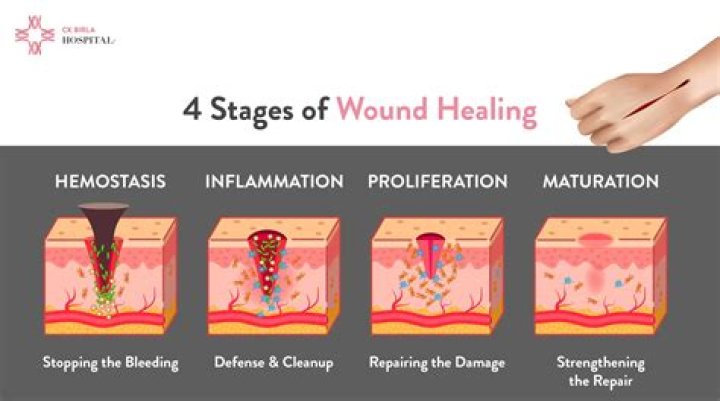 Uncovering Family Secrets And Healing Wounds