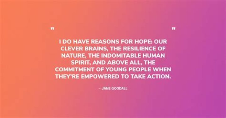 Uncovering Resilience And Hope In 2024