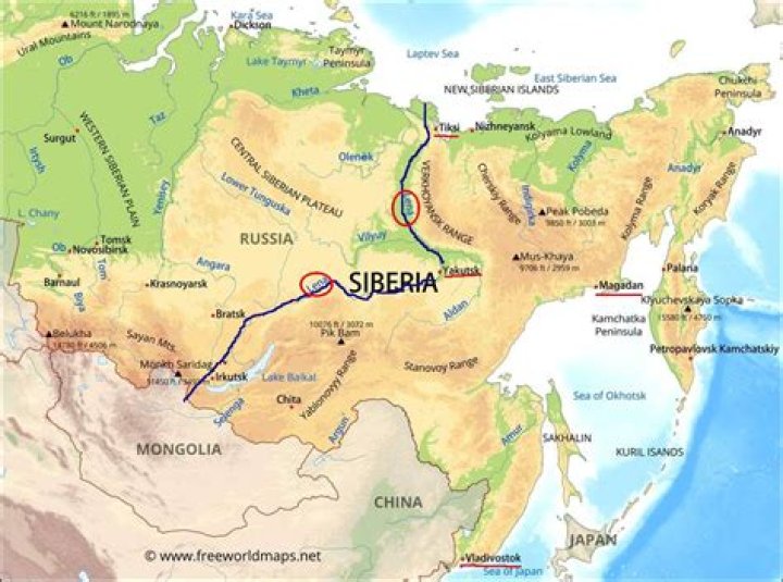 Uncovering the Appeal of Sia Siberia: A Look at a Growing Online Presence