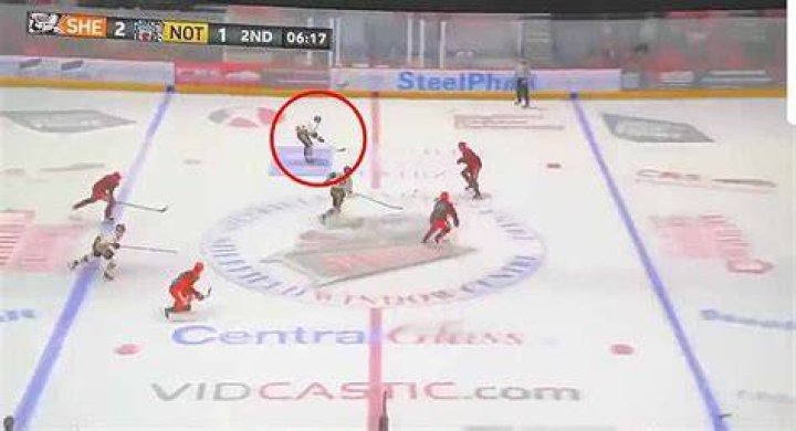 Uncovering The Story Behind The Ice Hockey Star