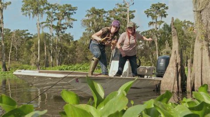 Uncovering the Unique World of Swamp People: A Glimpse into Louisiana's Wild Heart