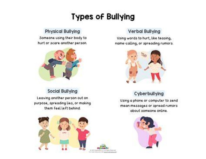 Understanding The Bullying Experience Of Aubrey