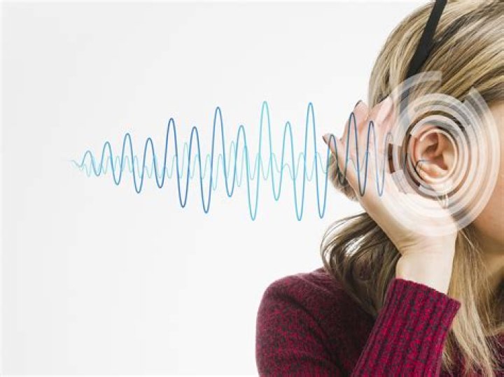 Understanding the Sone 385 Video Experience: A Look at Sound and Perception