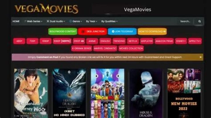 Understanding the Vegamovies Archive: What Happened and What's Next?
