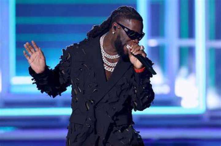 Unlock The Secrets Of Burna Boy's Concert Success With Ternary Media Group