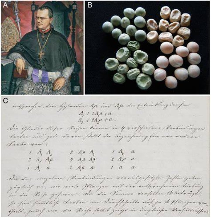 Unlocking The Genius Of Juan Germosen: Discoveries And Insights