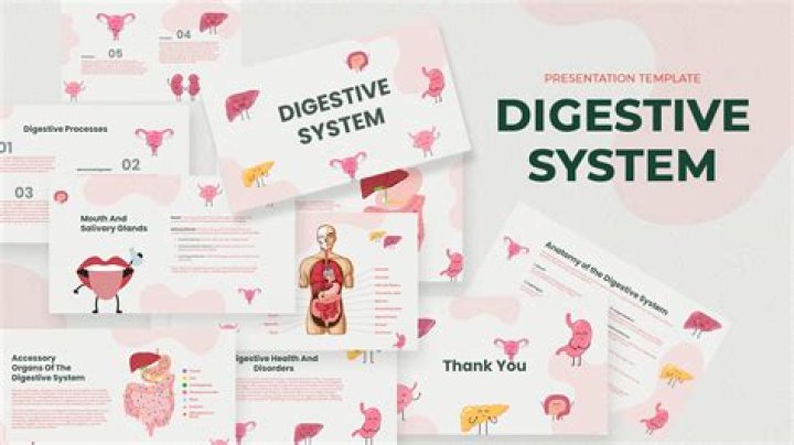 Unlocking The Secrets Of Digestive Health In Chicago