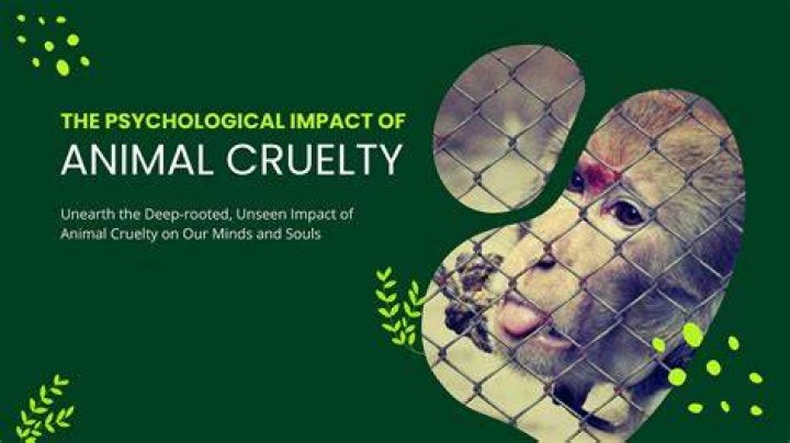 Unraveling Animal Cruelty And Mental Health