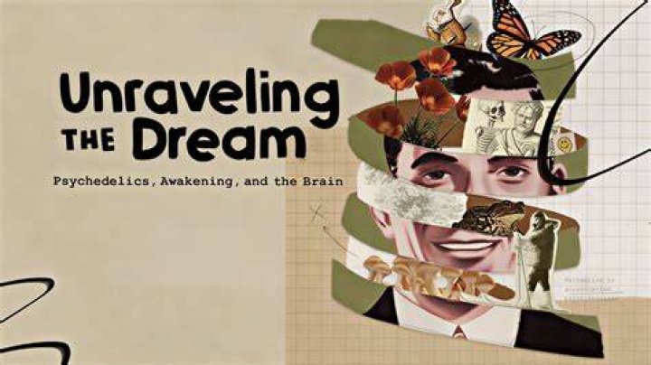 Unraveling Secrets And Exploring Dynamics