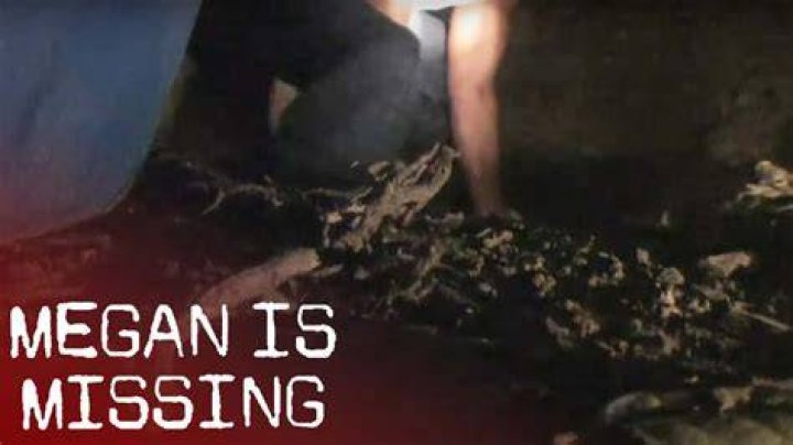 Unraveling The Mystery Of Megan Is Missing