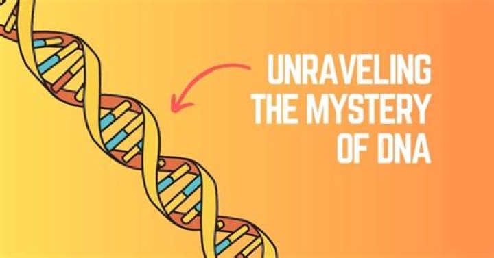 Unraveling The Mystery Of Skirby Meaning