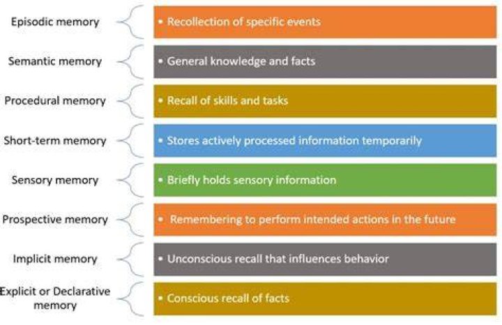 Unraveling The Tapestry Of Memory And Emotion