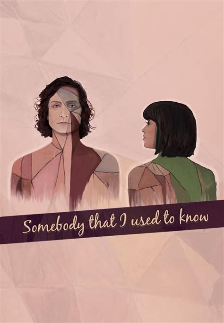Unraveling the Truth: Are Gotye and Kimbra Married After 'Somebody That I Used to Know'?