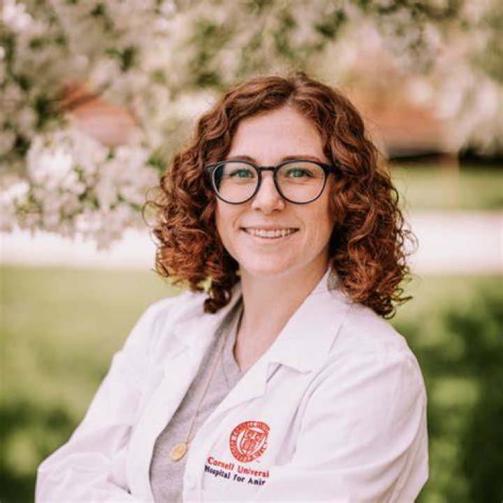 Unveiling Dr. Lauren Thielen: A Neuroscientist's Journey