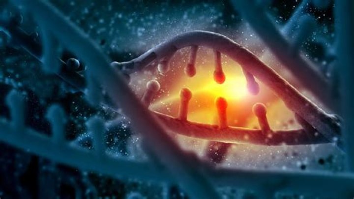 Unveiling Hidden Truths Through Genetic Genealogy