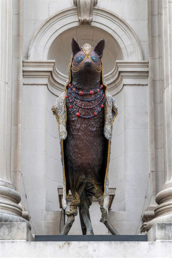 Unveiling Jeffrey Dolley: Discoveries And Insights
