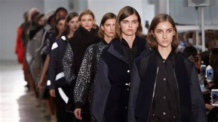 Unveiling The Allure Of Collectible Fashion Art