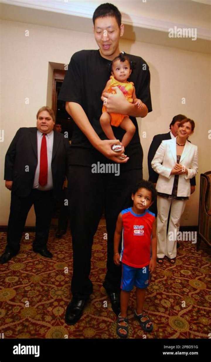 Unveiling The Extraordinary Height And Impact Of Sun Mingming