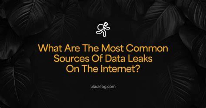 Unveiling The Impact Of "Hoesluvkinz Leaks": Privacy, Consequences, And Prevention
