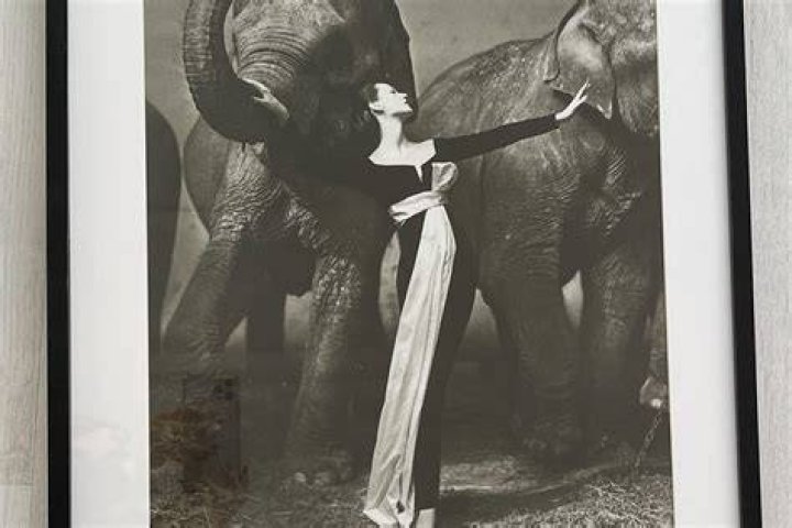 Unveiling the Secrets Behind Iconic Photoshoots