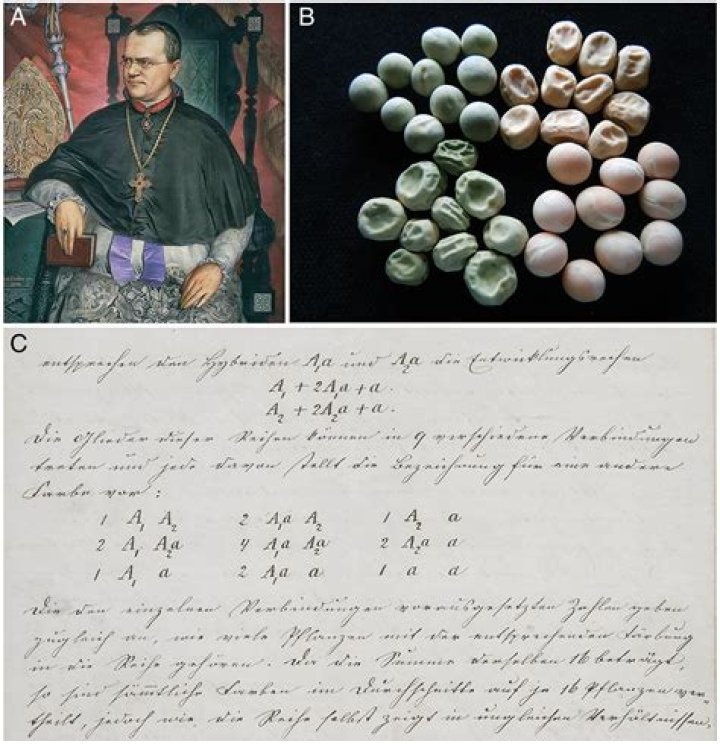 Unveiling The Secrets Of Culos Grandes: Discoveries And Insights