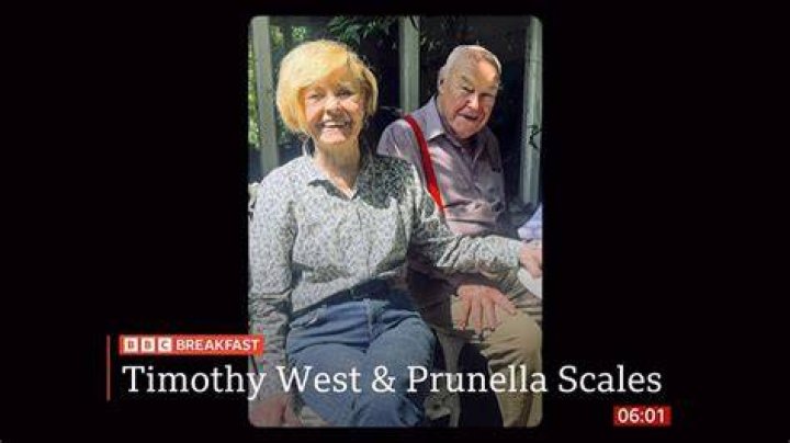 Unveiling The Secrets Of Prunella Scales In 2023: Precision, Versatility, And Beyond